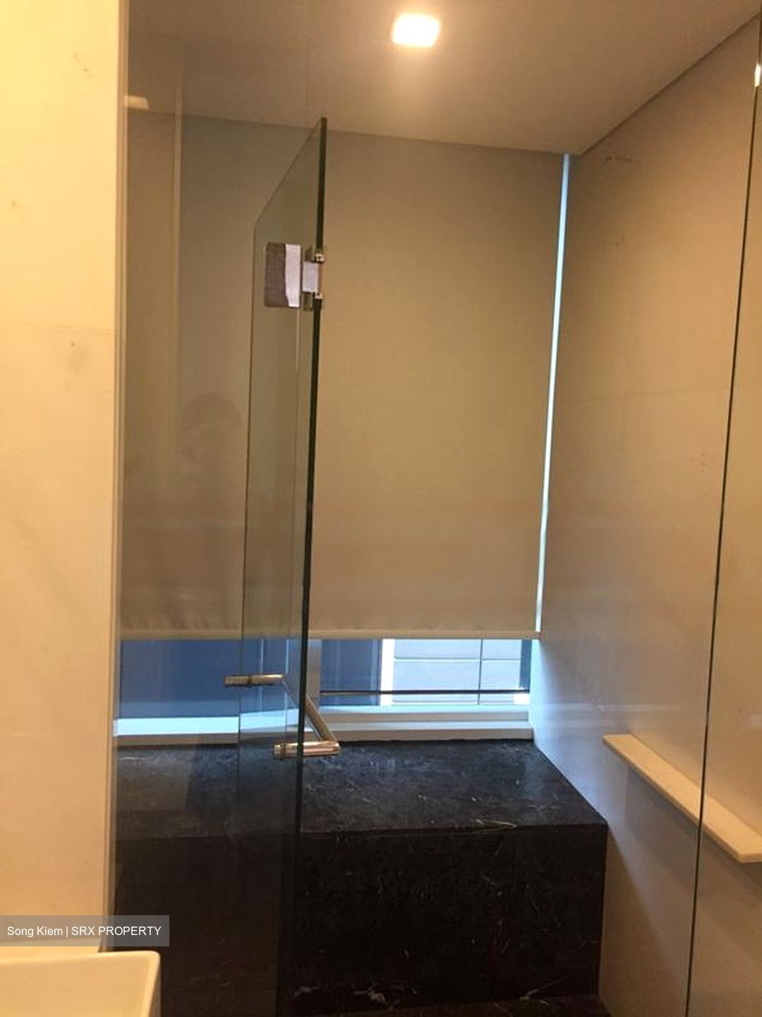 St. Regis Residences (D10), Apartment #573032531